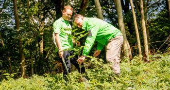 Read more about the article Wir pflanzen einen Wald – den SOURCE Unternehmenswald!