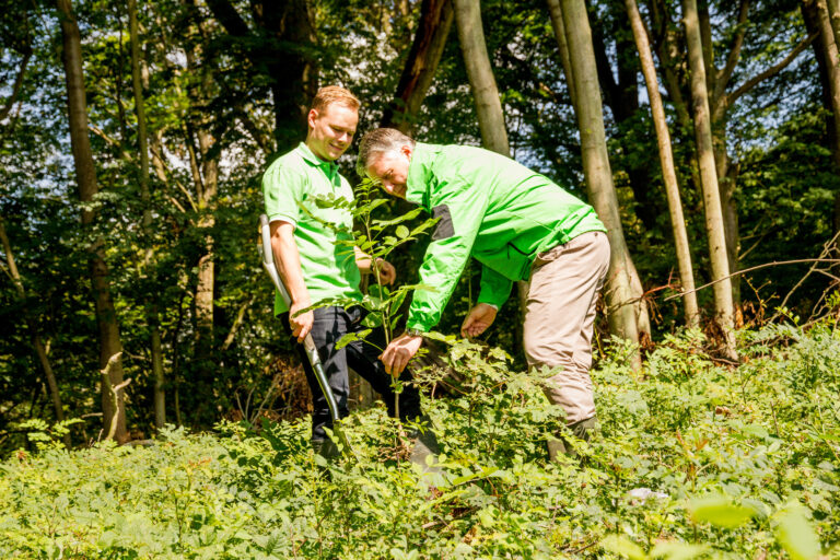 Read more about the article Wir pflanzen einen Wald – den SOURCE Unternehmenswald!