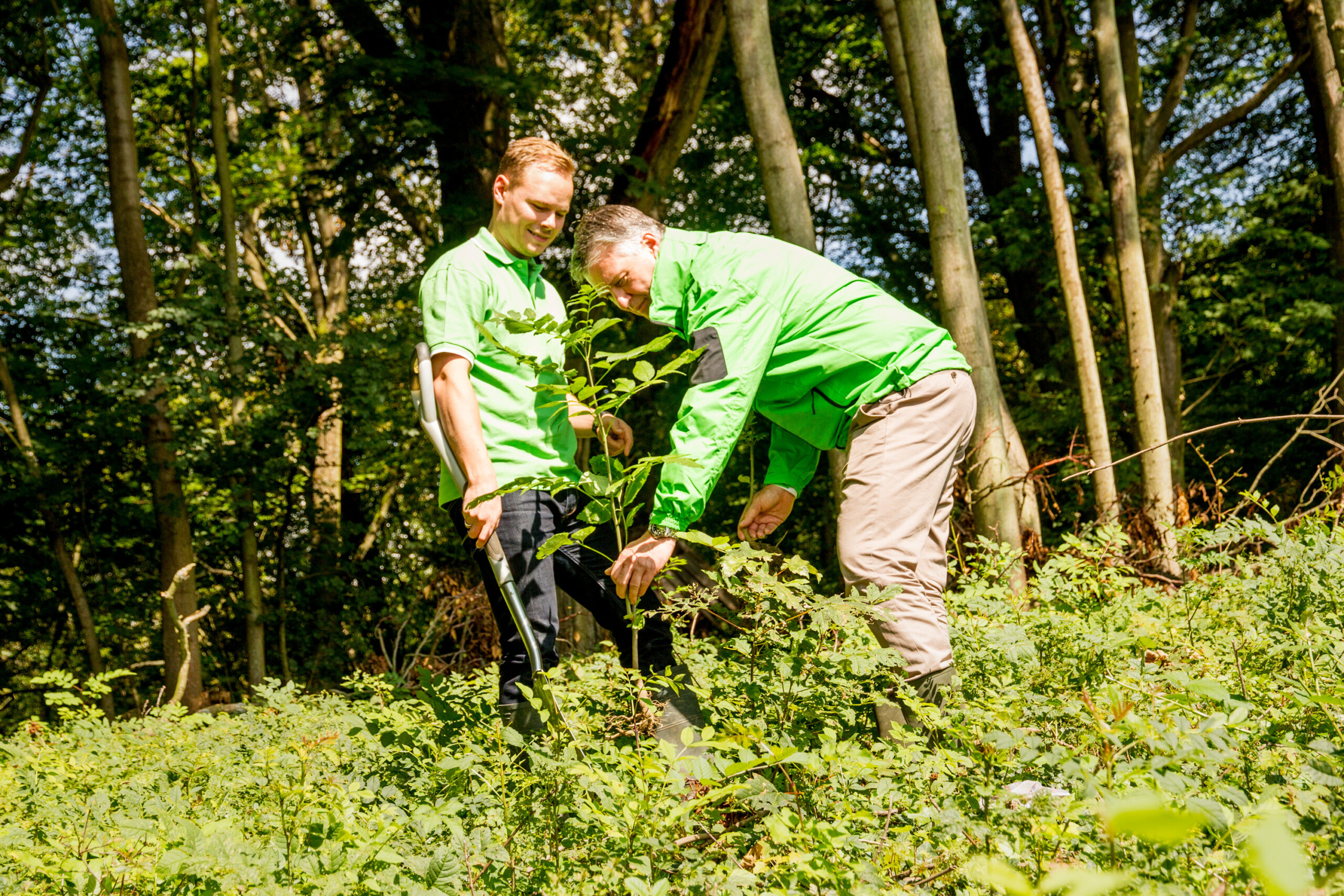 You are currently viewing Wir pflanzen einen Wald – den SOURCE Unternehmenswald!