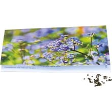 Klappkärtchen Vergissmeinnicht, Vergissmeinnichtsamen Klappkärtchen Vergissmeinnicht, Vergissmeinnichtsamen