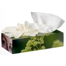 Tissue-Werbebox mit Einweg Handschuhen und Tüchern-blank, blank