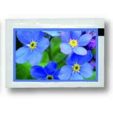 Samentütchen Vergissmeinnicht 80 x 55 mm, Vergissmeinnichtsamen Samentütchen Vergissmeinnicht 80 x 55 mm, Vergissmeinnichtsamen