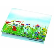 Klappkärtchen Blumenstrauß, Samen für bunte Bllumenmischung Klappkärtchen Blumenstrauß, Samen für bunte Bllumenmischung