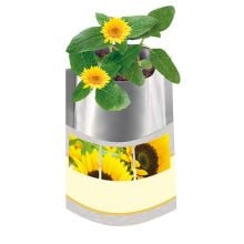 Plant-Bag Sonne, Erdtablette/ Samen Zwergsonnenblume Plant-Bag Sonne, Erdtablette/ Samen Zwergsonnenblume