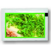 Samentütchen Kresse 80 x 55 mm, Kressesamen Samentütchen Kresse 80 x 55 mm, Kressesamen