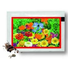 Samentütchen bunte Blumenmischung 80 x 55 mm, Samen für bunte Blumenmischung Samentütchen bunte Blumenmischung 80 x 55 mm, Samen für bunte Blumenmischung
