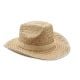 Cowboy-Hut Stroh beige